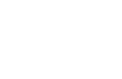 VIVE Switzerland